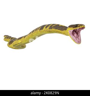 Zebra Dschungel Teppich Python 3D Illustration. Stockfoto