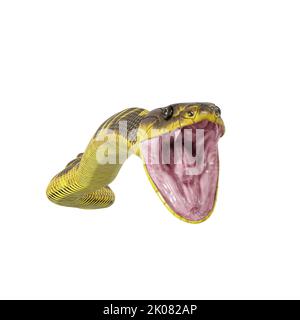 Zebra Dschungel Teppich Python 3D Illustration. Stockfoto