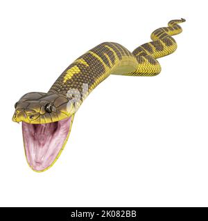 Zebra Dschungel Teppich Python 3D Illustration. Stockfoto