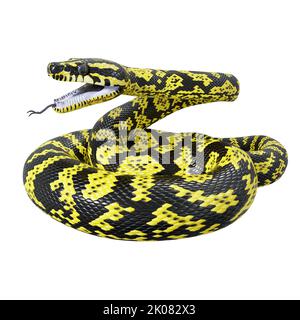 3D Illustration eines Zebra-Dschungelteppichs Python. Stockfoto