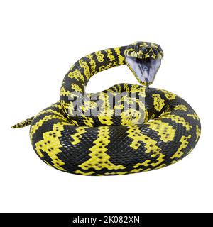 3D Illustration eines Zebra-Dschungelteppichs Python. Stockfoto