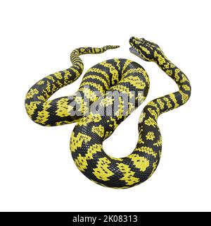 3D Illustration eines Zebra-Dschungelteppichs Python. Stockfoto