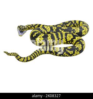 3D Illustration eines Zebra-Dschungelteppichs Python. Stockfoto