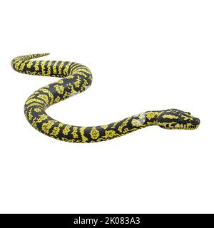 3D Illustration eines Zebra-Dschungelteppichs Python. Stockfoto