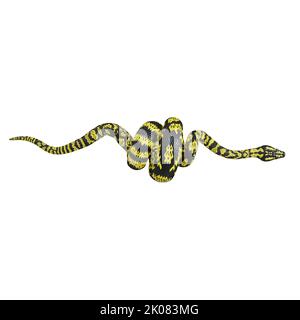 3D Illustration eines Zebra-Dschungelteppichs Python. Stockfoto