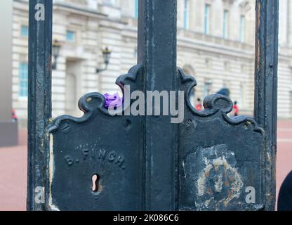 Eine einzelne violette Blume vor den Toren des buckingham Palastes die parade der horseguards nach dem Tod von Königin elizabeth 2 sep 10. 2022 london england Großbritannien Stockfoto