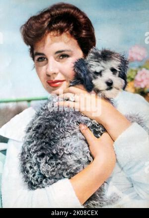 Jean Simmons in der Titelrolle in MGM's Young Bess, ihrer ersten amerikanischen Rolle mit Ehemann Stewart Granger. Jean Merilyn Simmons, OBE (31. Januar 1929 - 22. Januar 2010) war eine britische Schauspielerin und Sängerin Stockfoto