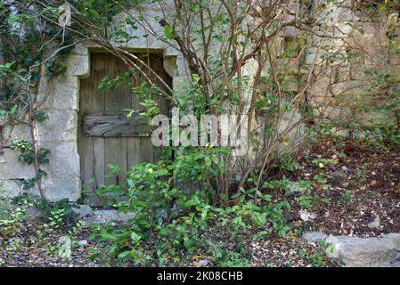 Alte Türöffnung oder Holztür in Steinmauer teilweise versteckt von überwucherten Sträuchern Oppède-le-Vieux Luberon Provence Stockfoto
