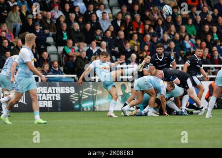 Newcastle, Großbritannien. 10. September 2022. Lewis Gjaltema von Harlequins räumt während des Spiels der Gallagher Premiership zwischen Newcastle Falcons und Harlequins im Kingston Park, Newcastle am Samstag, den 10.. September 2022. (Kredit: Chris Lishman | MI News) Kredit: MI Nachrichten & Sport /Alamy Live News Stockfoto