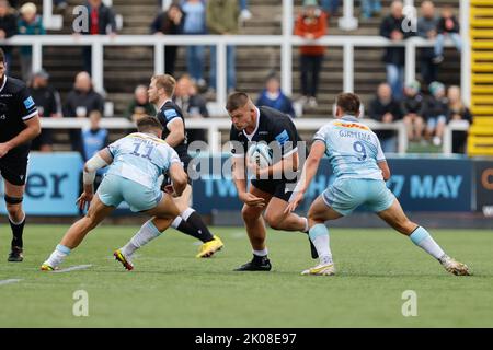 Newcastle, Großbritannien. 10. September 2022. Jamie Blamire von Newcastle Falcons in Aktion während des Spiels der Gallagher Premiership zwischen Newcastle Falcons und Harlequins im Kingston Park, Newcastle am Samstag, 10.. September 2022. (Kredit: Chris Lishman | MI News) Kredit: MI Nachrichten & Sport /Alamy Live News Stockfoto