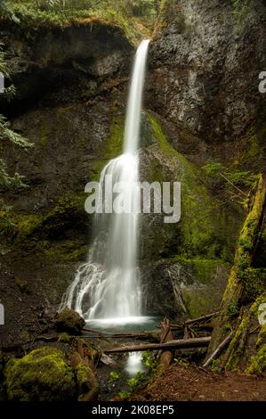 WA21985-00...WASHINGTON - Marymere Falls in der Nähe des Lake Crescent im Olympic National Park. Stockfoto
