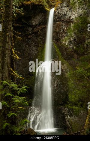 WA21986-00...WASHINGTON - Marymere Falls in der Nähe des Lake Crescent im Olympic National Park. Stockfoto