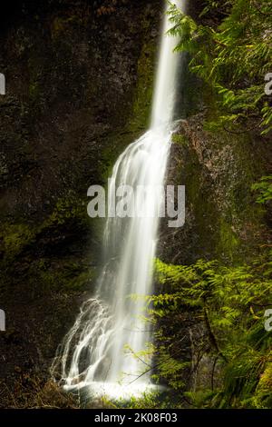 WA21987-00...WASHINGTON - Marymere Falls in der Nähe des Lake Crescent im Olympic National Park. Stockfoto
