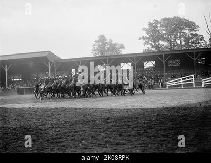 Pferdeshows - Demns - Bei Ft. Myer Cav., 1910. Stockfoto