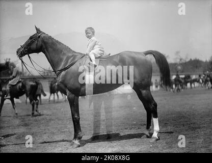 Pferdeshows - Baby Vincent Mclean Auf „Indian Flower“, 1912. Stockfoto