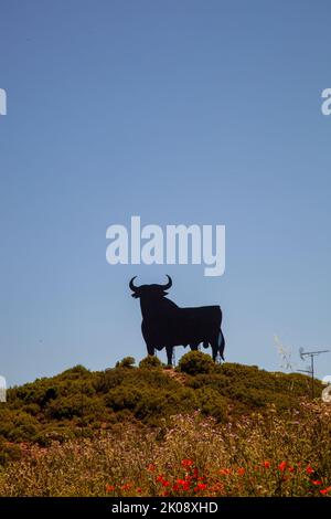 Metallausschnittprofil des Osbourne Bull, der auf der spanischen Pilgerroute Camino de Santiago in der Nähe von Navarrete Rja Spanien steht Stockfoto