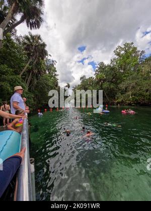 Orlando, FL USA - 5. August 2022: Menschen treiben den Frühling im Blue Springs State Park in Florida hinunter. Stockfoto