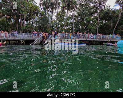 Orlando, FL USA - 5. August 2022: Menschen treiben den Frühling im Blue Springs State Park in Florida hinunter. Stockfoto