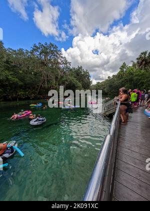 Orlando, FL USA - 5. August 2022: Menschen treiben den Frühling im Blue Springs State Park in Florida hinunter. Stockfoto