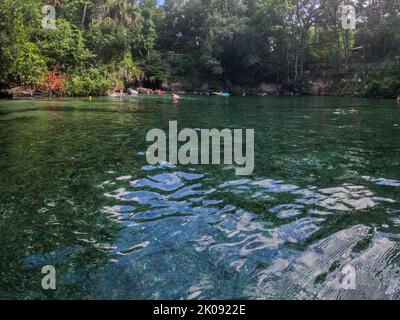 Orlando, FL USA - 5. August 2022: Menschen treiben den Frühling im Blue Springs State Park in Florida hinunter. Stockfoto