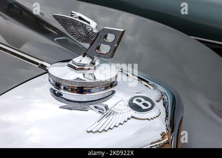 Bentley Haubenschmuck & Bentley Flügel Stockfoto