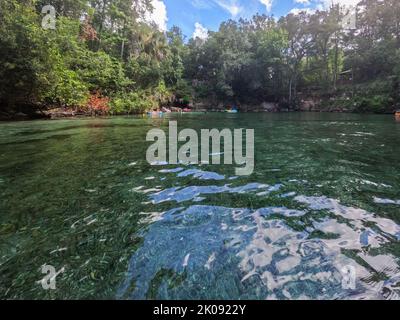 Orlando, FL USA - 5. August 2022: Menschen treiben den Frühling im Blue Springs State Park in Florida hinunter. Stockfoto