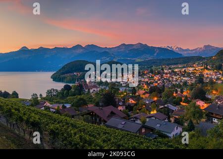 Ein schöner Sommersonnenaufgang in Spiez am Thunersee im Berner Oberland. Spiez gehört zum Schweizer Kanton Bern in der Zentralschweiz. T Stockfoto