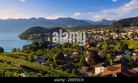 Ein schöner Sommermorgen in Spiez am Thunersee im Berner Oberland. Spiez gehört zum Schweizer Kanton Bern in der Zentralschweiz. T Stockfoto