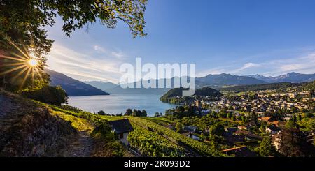 Ein schöner Sommersonnenaufgang in Spiez am Thunersee im Berner Oberland. Spiez gehört zum Schweizer Kanton Bern in der Zentralschweiz. T Stockfoto