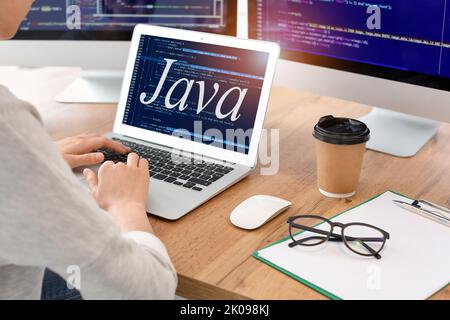 Weibliche Programmierer schreiben Java-Programm im Büro Stockfoto