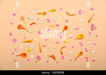 Blumenblätter auf beigefarbenem Hintergrund Stockfoto