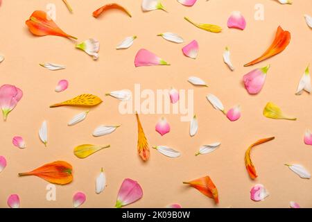 Blumenblätter auf beigefarbenem Hintergrund Stockfoto