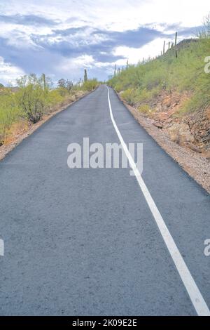 Betonradweg und Wanderweg in Tucson, Arizona. Asphaltweg in der Mitte von Sträuchern auf der linken Seite und ein Hang auf der rechten Seite mit saguaro c Stockfoto