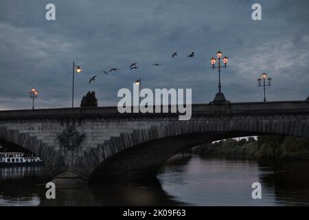 Thames River, Chiswick, London, Großbritannien Stockfoto