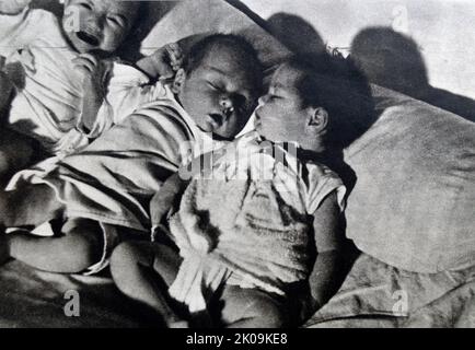 Spanische Bürgerkriegsflüchtlinge flüchten nach Frankreich zum Kriegsende 1939. Babys schlafen in ihren Betten. Der Spanische Bürgerkrieg war ein Bürgerkrieg in Spanien, der von 1936 bis 1939 geführt wurde. Die Republikaner, die der linksgerichteten Volksfront-Regierung der instabilen Zweiten Spanischen Republik treu geblieben sind, kämpften gegen einen Aufstand der Nationalisten, angeführt von einer Militärgruppe, unter der General Francisco Franco bald eine Vorreiterrolle erlangte. Stockfoto