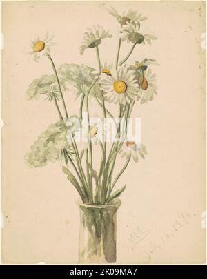 Gänseblümchen und Queen Anne's Lace, 1890. Stockfoto