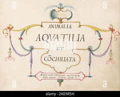 Animalia Aqvatilia et Cochiliata (Aqva): Titelseite, c. 1575/1580. Stockfoto