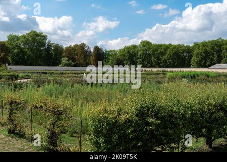 King's Kitchen Garden, Potager du ROI, in Versailles, Frankreich Stockfoto