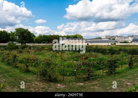 King's Kitchen Garden, Potager du ROI, in Versailles, Frankreich Stockfoto