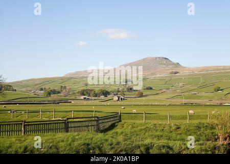 Pen-Y-Gent vom Fluss Ribble, Yorkshire Dales, Großbritannien Stockfoto