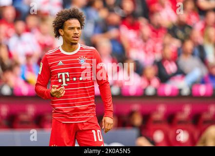 München, Deutschland. 10. September 2022. Leroy SANE, FCB 10 im Spiel FC BAYERN MÜNCHEN - VFB STUTTGART 2-2 1.Deutsche Fußballliga am 10. September 2022 in München, Deutschland. Saison 2022/2023, Spieltag 6, 1.Bundesliga, FCB, München, 6.Spieltag Credit: Peter Schatz/Alamy Live News Stockfoto