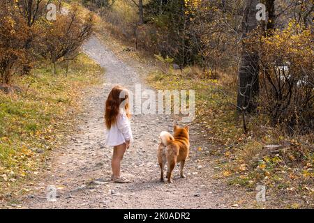 Ein kleines rothaariges Mädchen und ihr Hund Shiba Inu laufen durch den Herbstwald. Blick von hinten Stockfoto