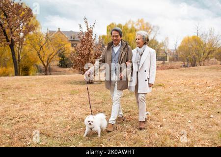 Glückliches chinesisches Ehepaar, das mit seinem Hund unterwegs ist Stockfoto