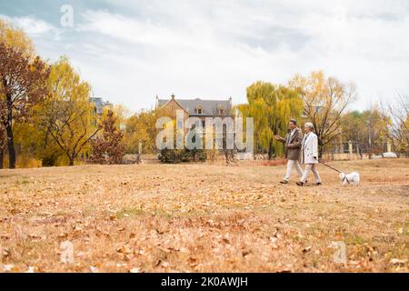 Glückliches chinesisches Ehepaar, das mit seinem Hund unterwegs ist Stockfoto