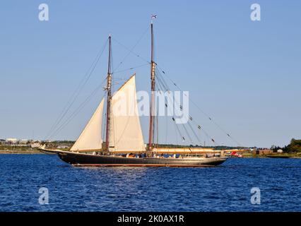 Halifax, Nova Scotia, Kanada. 10.. September 2022. Die Bluenose II fährt in den Hafen von Halifax, um einen Besuch im Zusammenhang mit dem ICMM-Kongress 2022 im Maritime Museum of the Atlantic zu machen. Das Boot ist eine Nachbildung des berühmten Angel- und Rennschooner Bluenose. Bis Mittwoch, den 14. September, ist sie für Besucher im Hafen geöffnet. Kredit: Meanderingemu/Alamy Live Nachrichten Stockfoto