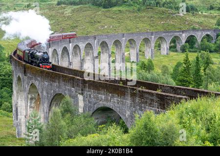 Die Jacobite Dampflokomotive und kunstvolle Kutschen, die die ikonische Viaduktbrücke überqueren, auf der West Highland Line, beliebter Touristenort und Wahrzeichen, Stockfoto