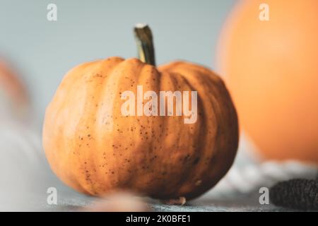 Frischer unperfekter Kürbis auf einer Tischplatte mit geringer Schärfentiefe in ausgewaschenen Herbsttönen Stockfoto