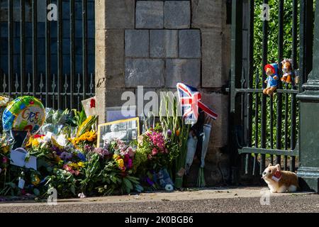 Windsor, Großbritannien. 10.. September 2022. Ein Spielzeug-Corgi-Hund ist neben floralen Tributen abgebildet, die zur Erinnerung an Königin Elizabeth II. Vor dem Cambridge Gate im Schloss Windsor vor einem Spaziergang durch den Prinz und die Prinzessin von Wales und den Herzog und die Herzogin von Sussex zurückgelassen wurden. Königin Elizabeth II., die dienstälteste Monarchin Großbritanniens, starb am 8.. September 2022 in Balmoral im Alter von 96 Jahren nach einer Regierungszeit von 70 Jahren. Kredit: Mark Kerrison/Alamy Live Nachrichten Stockfoto