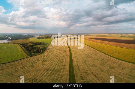Luftdrohnenaufnahme der Weizenfeldlandschaft am sonnigen Sommerabend. Stockfoto