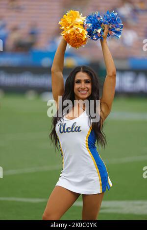 Pasadena, Kalifornien, USA. 10. September 2022. UCLA Bruins Cheerleader während des NCAA Fußballspiels zwischen den Alabama State Hornets und UCLA Bruins im Rose Bowl in Pasadena, Kalifornien. Obligatorischer Bildnachweis : Charles Baus/CSM/Alamy Live-Nachrichtengutschein: CAL Sport Media/Alamy Live News Stockfoto